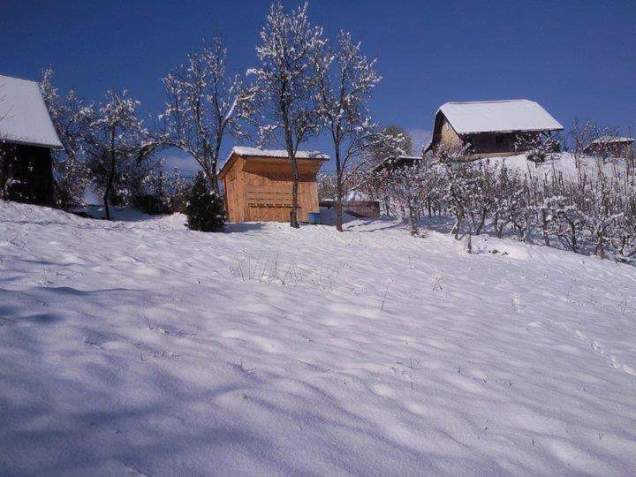 FB_IMG_1443429081663