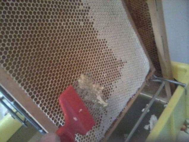 FB_IMG_1443430148383