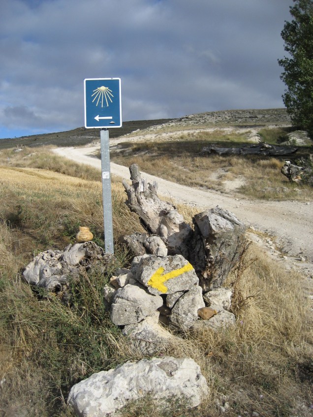 camino-de-santiago-3501