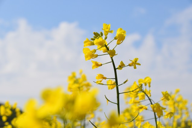 Na Caminu glasno vzdihuješ od lepote narave