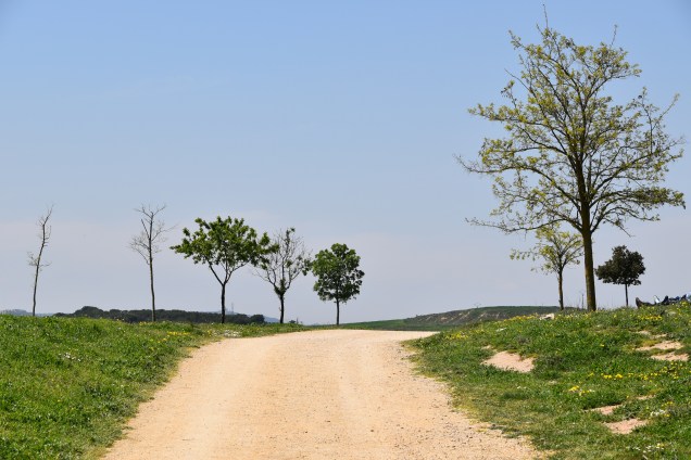 Na Caminu je vse potencirano
