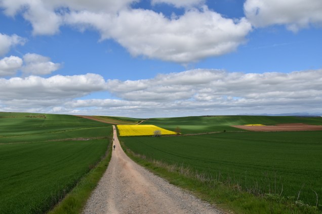 Z veseljem v vsak nov dan