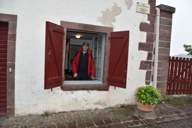 Peregrin na oknu alberga