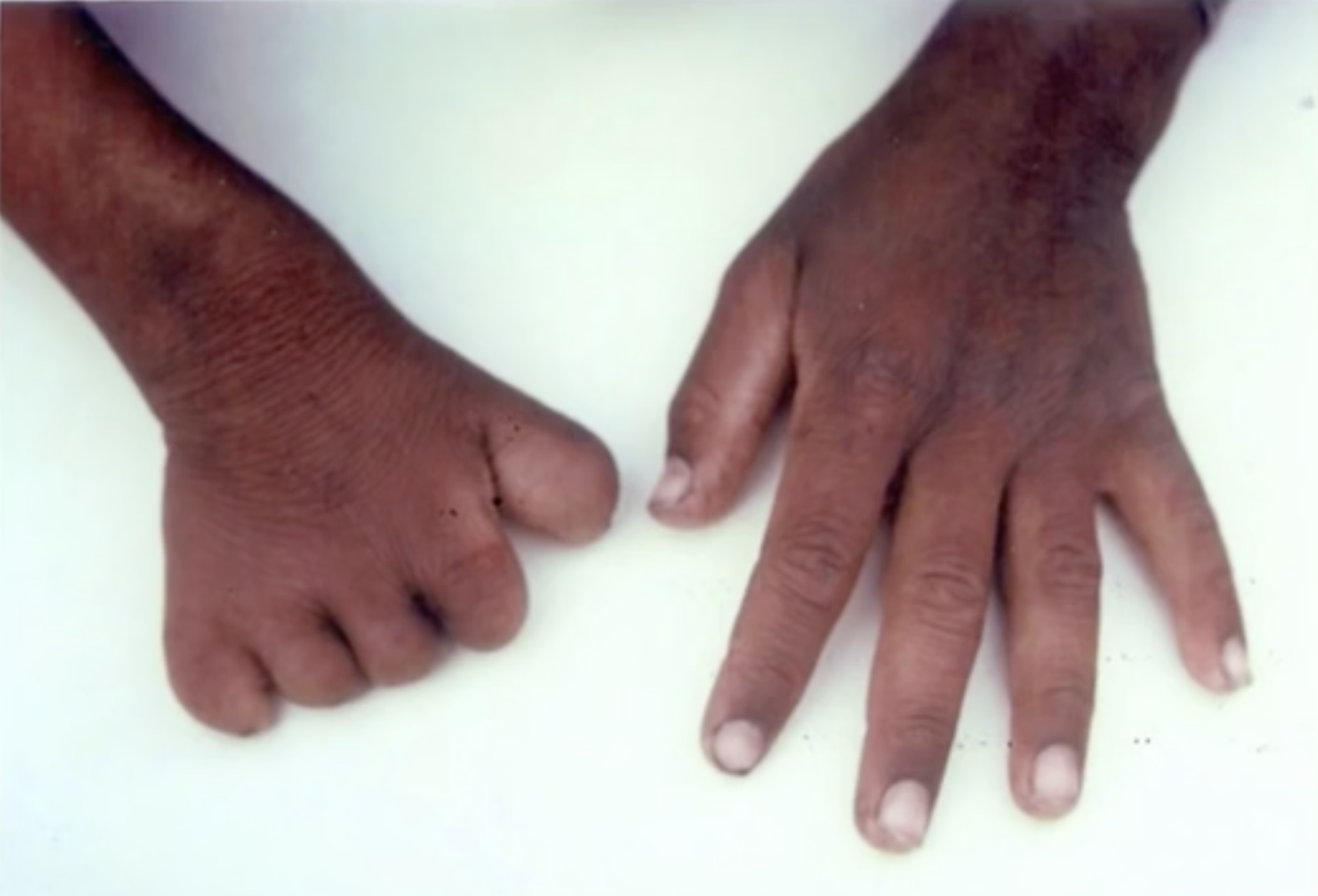 Screen Shot 2018-08-21 at 13.29.38