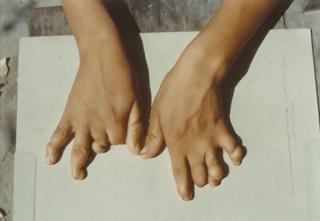 Screen Shot 2018-08-21 at 13.29.07