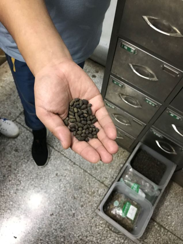 fd33616b-02c5-4121-96a7-cdd7470a61fa